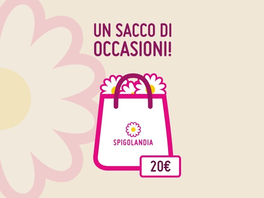 un sacco di occasioni